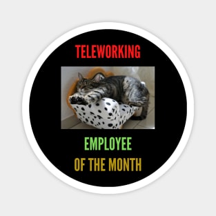 Teleworking - Employee of the Month - The Cat Magnet